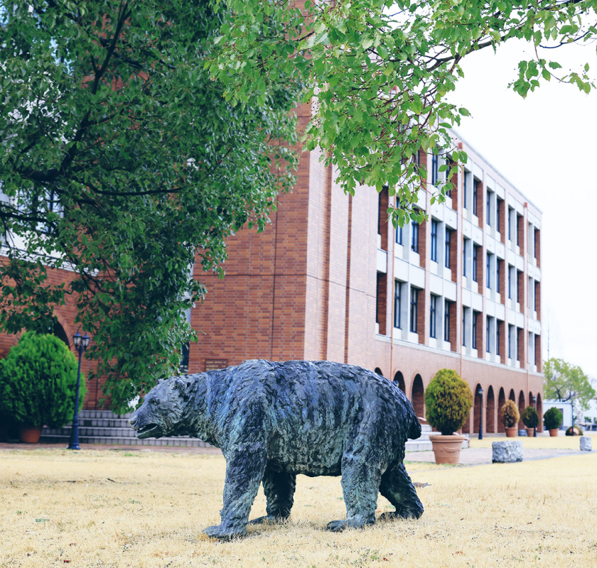 レンガを基調としたBUNRIキャンパスを体感しよう！